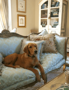 Screen shot 2013-08-02 at 7.43.10 PM