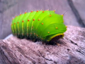 Screen shot 2013-08-05 at 7.02.05 AM